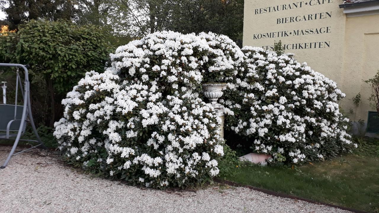 Hotel Quellenpark Bad Elster Buitenkant foto